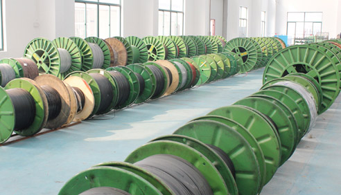 什么是電伴熱系統(tǒng)今后發(fā)展的方向？(圖1)