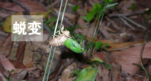 用心感受世界，因活著而幸福(圖4)